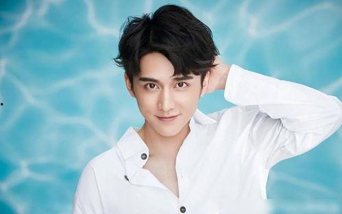 刘大锤最新爆料张新成,张新成神秘事件背后真相揭晓  第2张