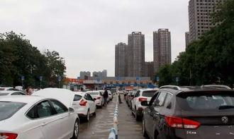 西安车管所爆料事件最新,内部黑幕曝光，引发公众关注